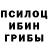 Галлюциногенные грибы прущие грибы SPRUT :3