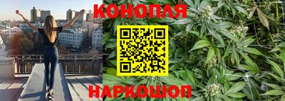 шишки Северобайкальск