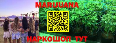 шишки Северобайкальск
