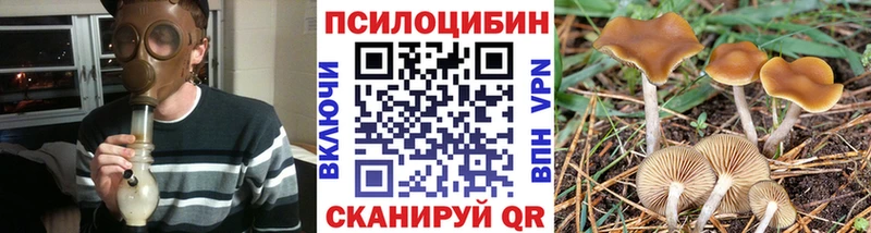 Псилоцибиновые грибы Magic Shrooms  Полысаево 