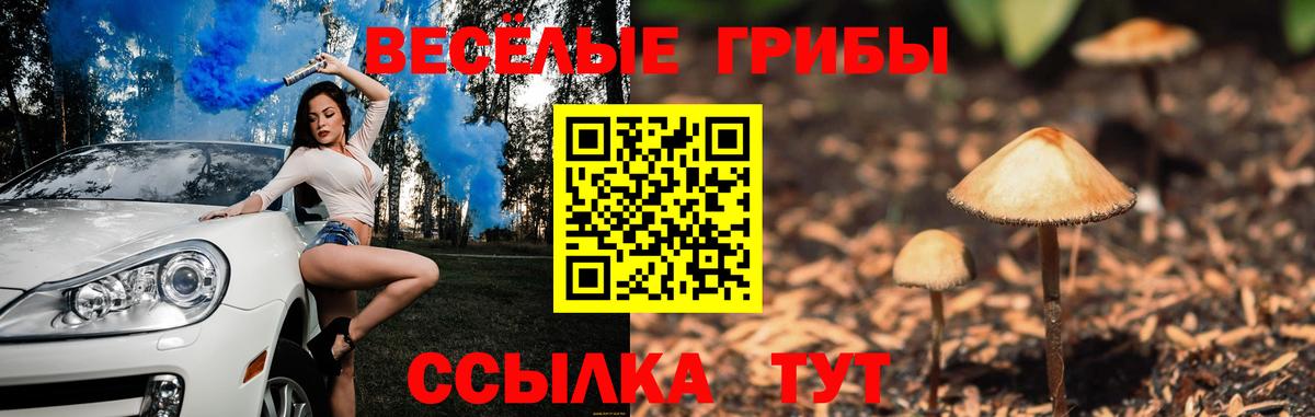 Галлюциногенные грибы прущие грибы Полысаево